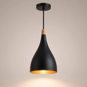 Plastic Black Cone Pendant Light