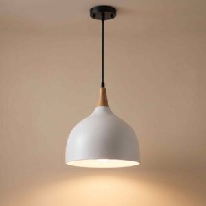 Dome Plastic Pendant Light