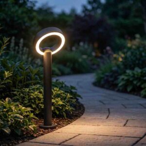 Ring Pathway Light