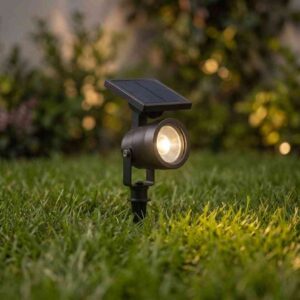 Solar Outdoor Spotlight