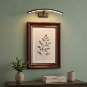 Arc Shape LED Picture Wall Light
