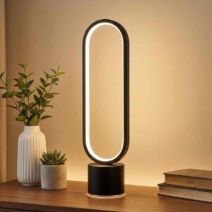 Oval Loop LED Table Lamp