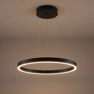 Halo Ring Pendant Light