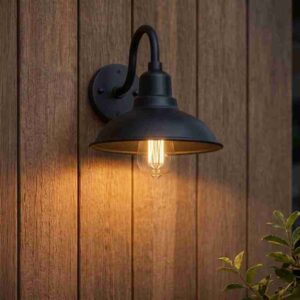 Gooseneck Rustic Outdoor Light
